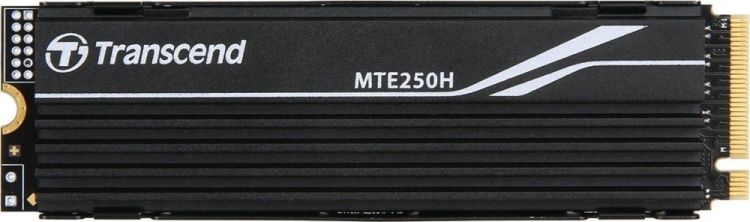 SSD накопитель Transcend TS1TMTE250H