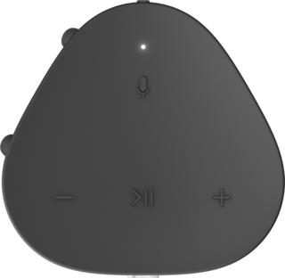 Sonos Roam [черный]